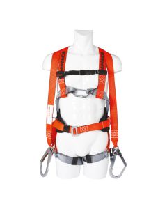 SAFETY HARNESS WORKMAN PM 100
